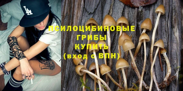 мяу мяу мука Абдулино