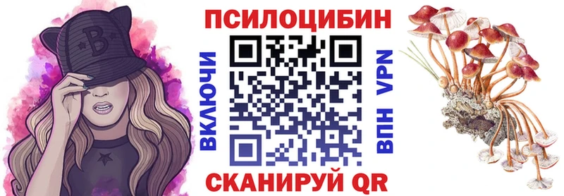 Псилоцибиновые грибы ЛСД  купить  цена  Каменка 