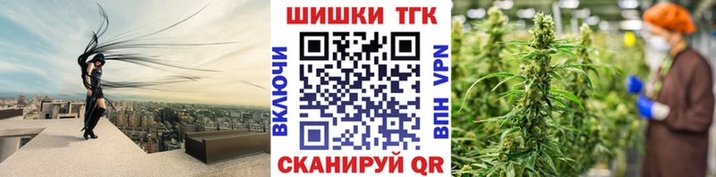 закладка  Каменка  Марихуана сатива 